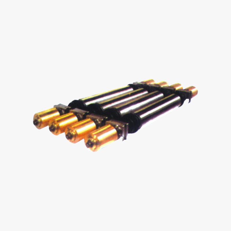 Rullo conduttore per linea di zincatura elettrica